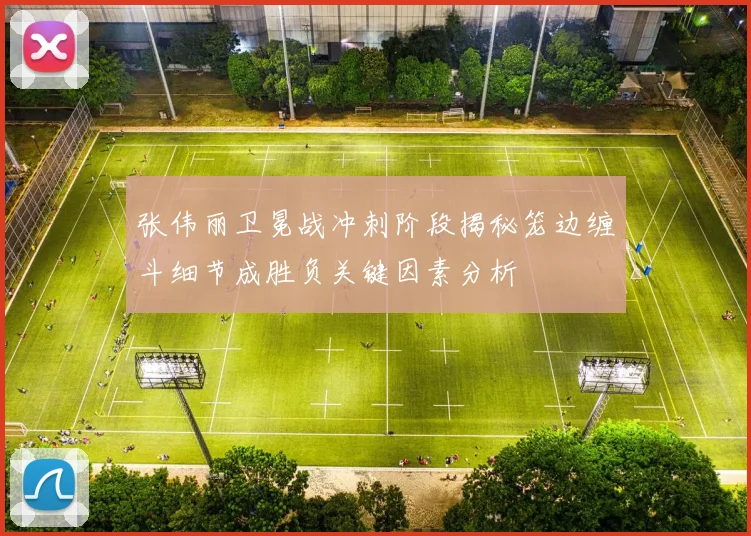 张伟丽卫冕战冲刺阶段揭秘笼边缠斗细节成胜负关键因素分析