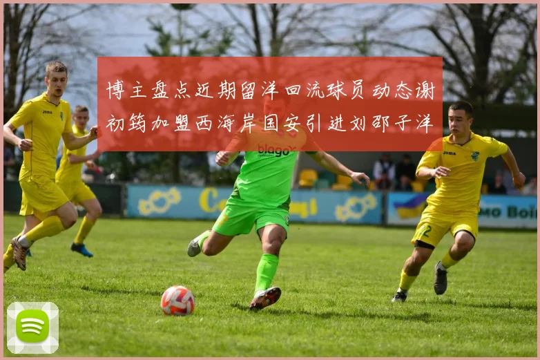 博主盘点近期留洋回流球员动态谢初筠加盟西海岸国安引进刘邵子洋